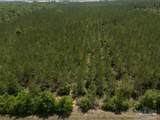 11 Bud Diamond Rd - Photo 9