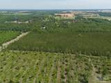 11 Bud Diamond Rd - Photo 13