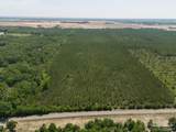 11 Bud Diamond Rd - Photo 15