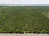 11 Bud Diamond Rd - Photo 17
