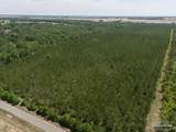 11 Bud Diamond Rd - Photo 18
