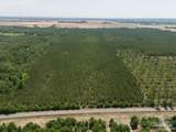 11 Bud Diamond Rd - Photo 19
