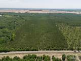 11 Bud Diamond Rd - Photo 7