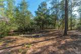 4900 Shell Rd - Photo 30