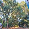 225 Delray Dr - Photo 16