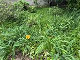 4210 Monteigne Dr - Photo 44