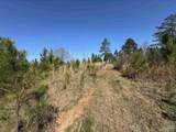Lot 6 Will Jones Rd - Photo 5