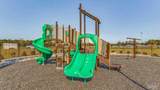 6313 Firefly Dr - Photo 8