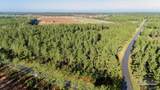 LOT 66 Sage Forest Ln - Photo 5