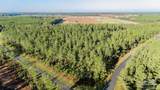 LOT 66 Sage Forest Ln - Photo 8
