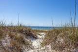 14403 Perdido Key Dr - Photo 2