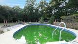 4237 Audiss Rd - Photo 28