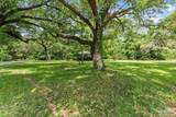 8781 Sonnyboy Ln - Photo 7