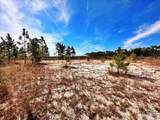 2604 San Antonio Dr - Photo 15