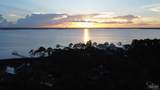 4500 Fishermans Point Dr - Photo 1