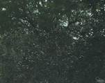  Lantana Dr - Photo 1