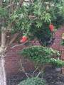  Lantana Dr - Photo 2