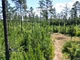 8450 Robinsonville Rd - Photo 3
