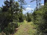 8450 Robinsonville Rd - Photo 7