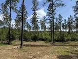 8450 Robinsonville Rd - Photo 9