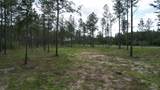 9118 Pine Preserve Ln - Photo 18