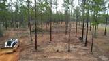 9118 Pine Preserve Ln - Photo 2