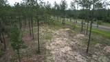9118 Pine Preserve Ln - Photo 6