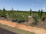 Lot 57 South Timber Ln - Photo 16