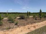 Lot 57 South Timber Ln - Photo 18