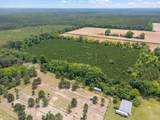 0000 Lewis Rd - Photo 12