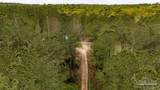 4660 Morristown Rd - Photo 16