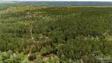 4660 Morristown Rd - Photo 42