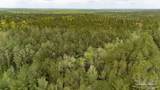 4660 Morristown Rd - Photo 50