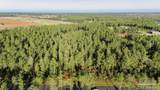 LOT 67 Sage Forest Ln - Photo 4