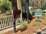 9517 Lorikeet Ln - Photo 4