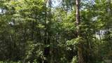 Lot 7 Forestbrook Dr - Photo 4