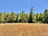 Lot 56 Mineral Springs Rd - Photo 13