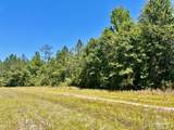 Lot 48 to 56 Mineral Springs Rd - Photo 16