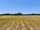 Lot 48 to 56 Mineral Springs Rd - Photo 24