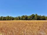 Lot 48 to 56 Mineral Springs Rd - Photo 28