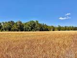 Lot 48 to 56 Mineral Springs Rd - Photo 31