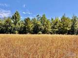 Lot 48 to 56 Mineral Springs Rd - Photo 34