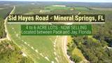 Lot 48 to 56 Mineral Springs Rd - Photo 38
