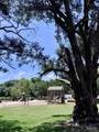 312 Gonzalez St - Photo 68
