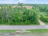 Lot 53 Mineral Springs Rd - Photo 3