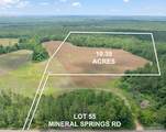 Lot 55 Mineral Springs Rd - Photo 1