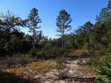 00 Log Lake Rd - Photo 7