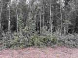 Lot 16 Horace Lunsford Rd - Photo 3