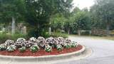 5721 Dunbar Cir - Photo 7