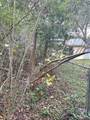 700 Polk Ave - Photo 1